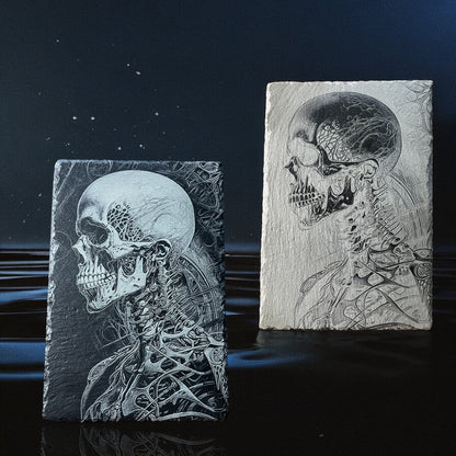 Yin and Yang Anatomical Slate