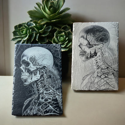 Yin and Yang Anatomical Slate