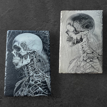 Yin and Yang Anatomical Slate