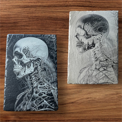 Yin and Yang Anatomical Slate